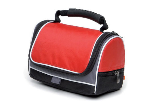 Cooler bag