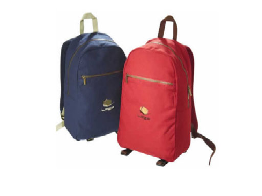 Backpacks, School Backpacks, School backpack